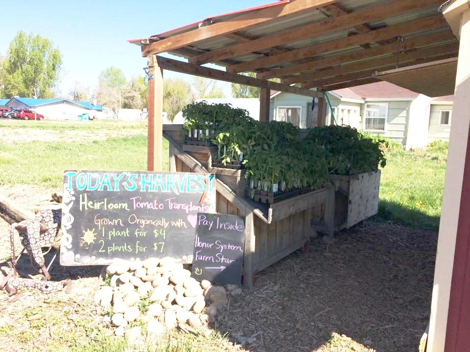 Native Hill Farm Stand is open every day from 8am-6pm. Come on by!