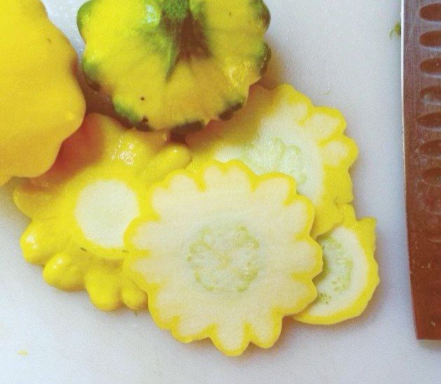 Summer squash on full swing!