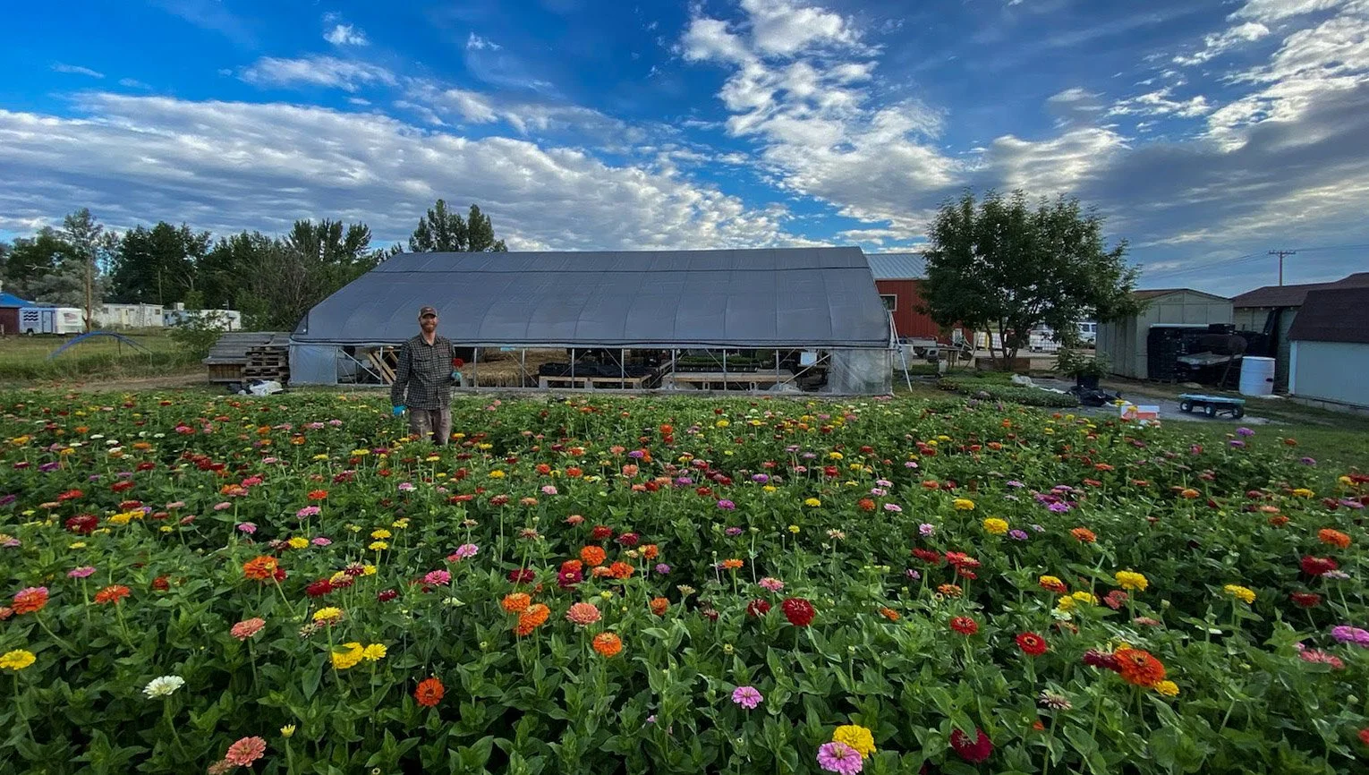 UPick Flowers — Native Hill Farm