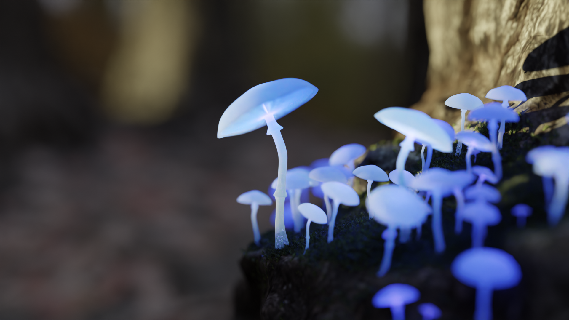 mushroom stump_9.png