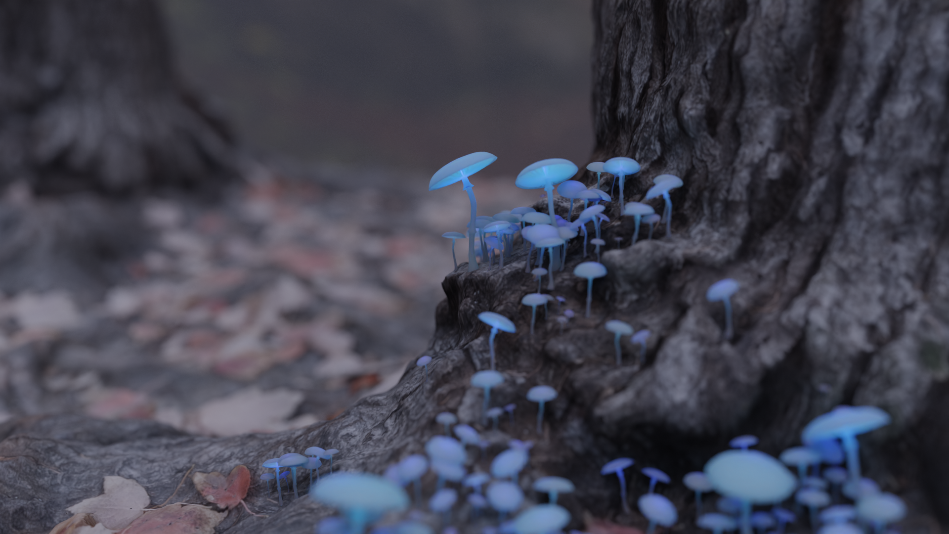 mushroom stump_3.png