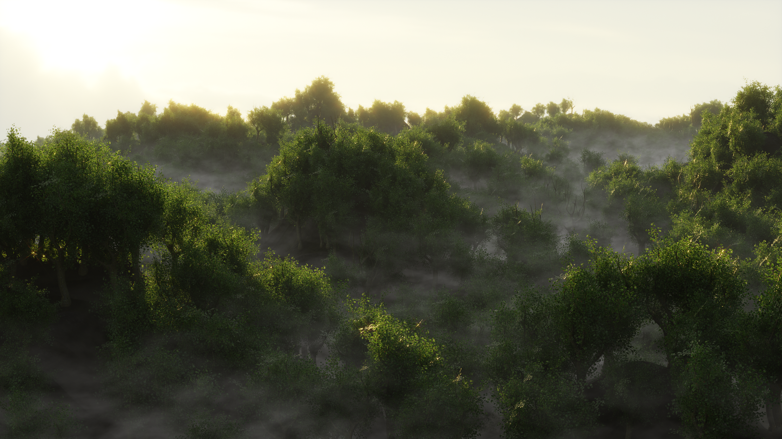 forest 6.png