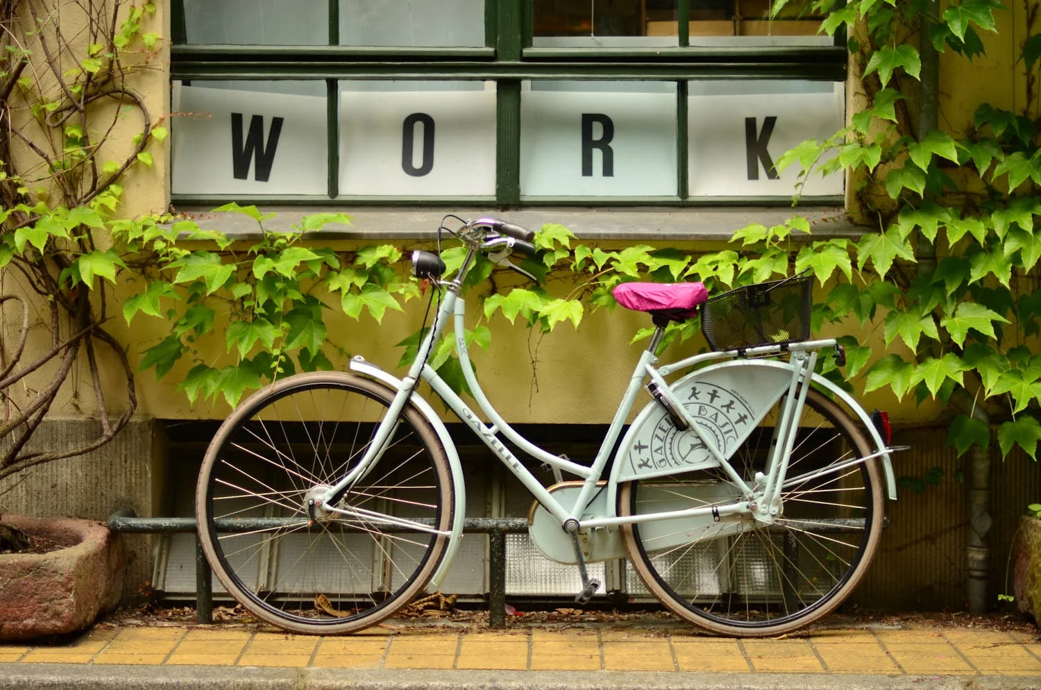 DC Commuters Prefer Cycling to Work