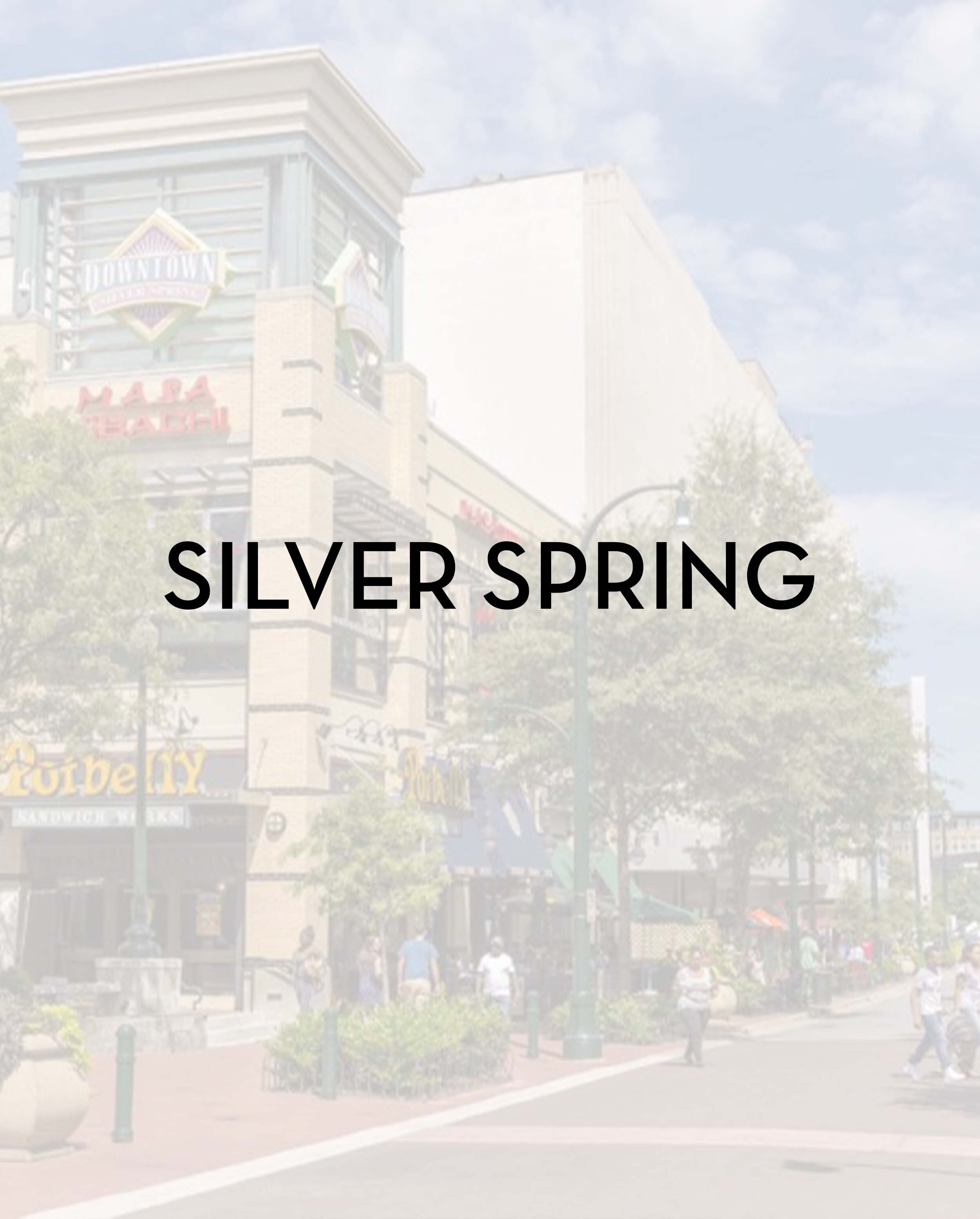 silverspring.jpg