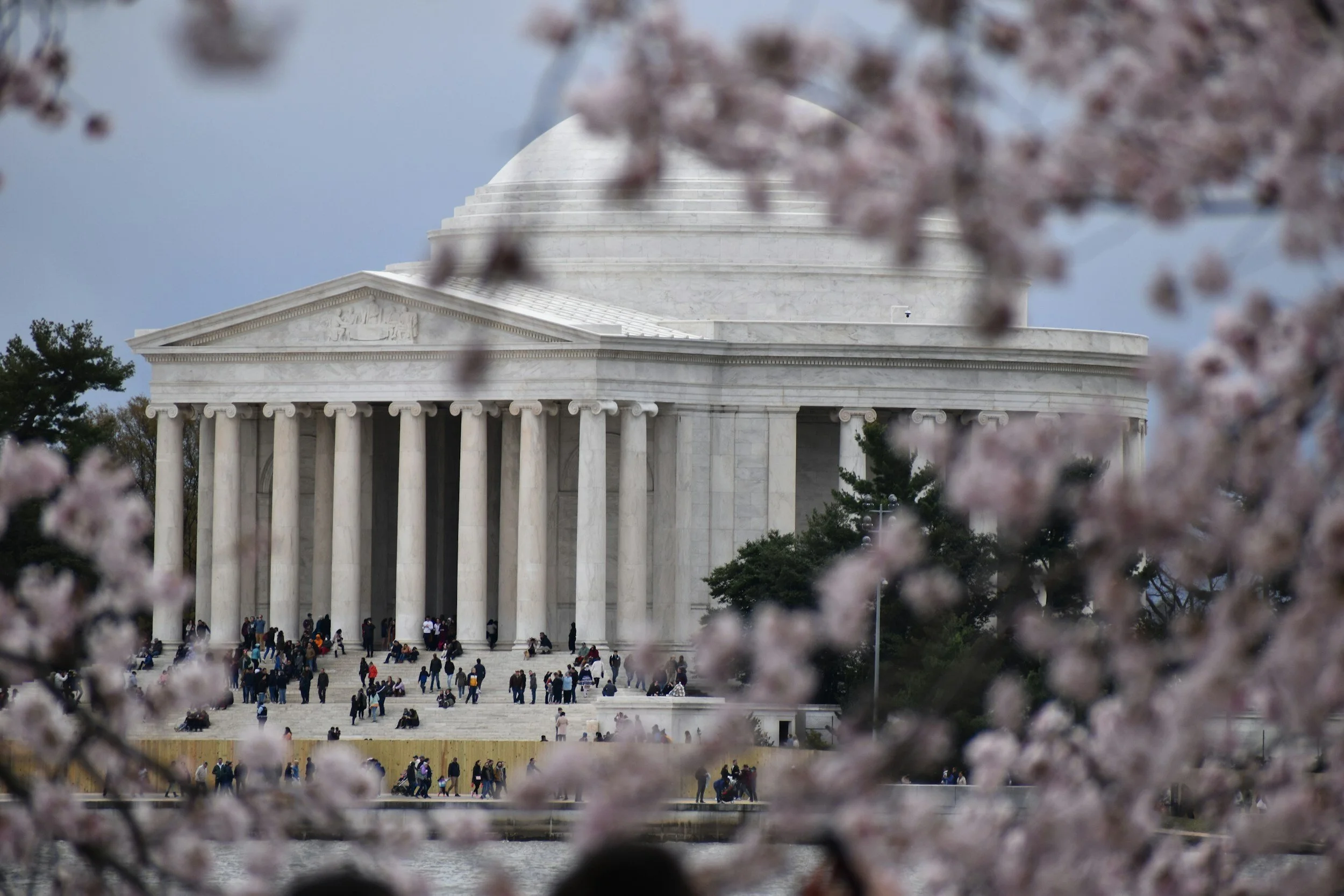 Springtime Sneezes: How to Handle Allergies in DC