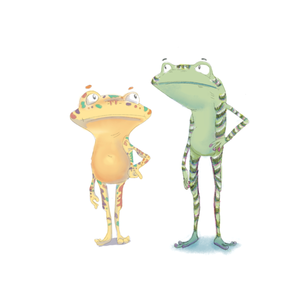 The Frogs