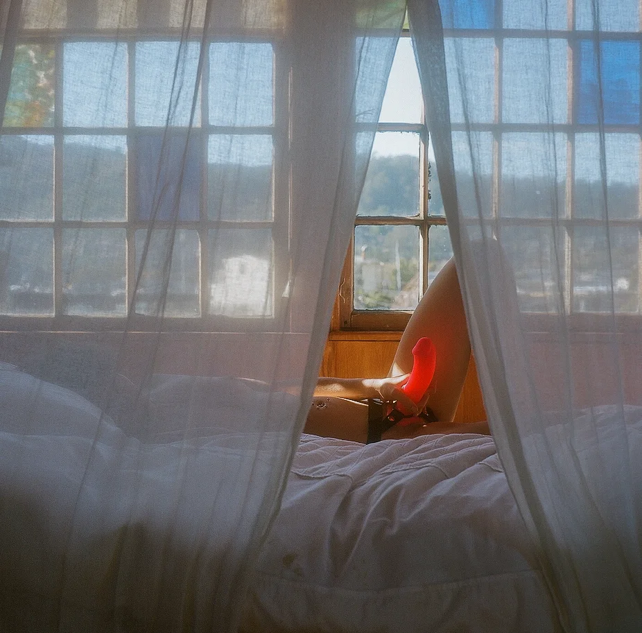 Rowan Renee. How I Learned to Play Both Parts, 2015.