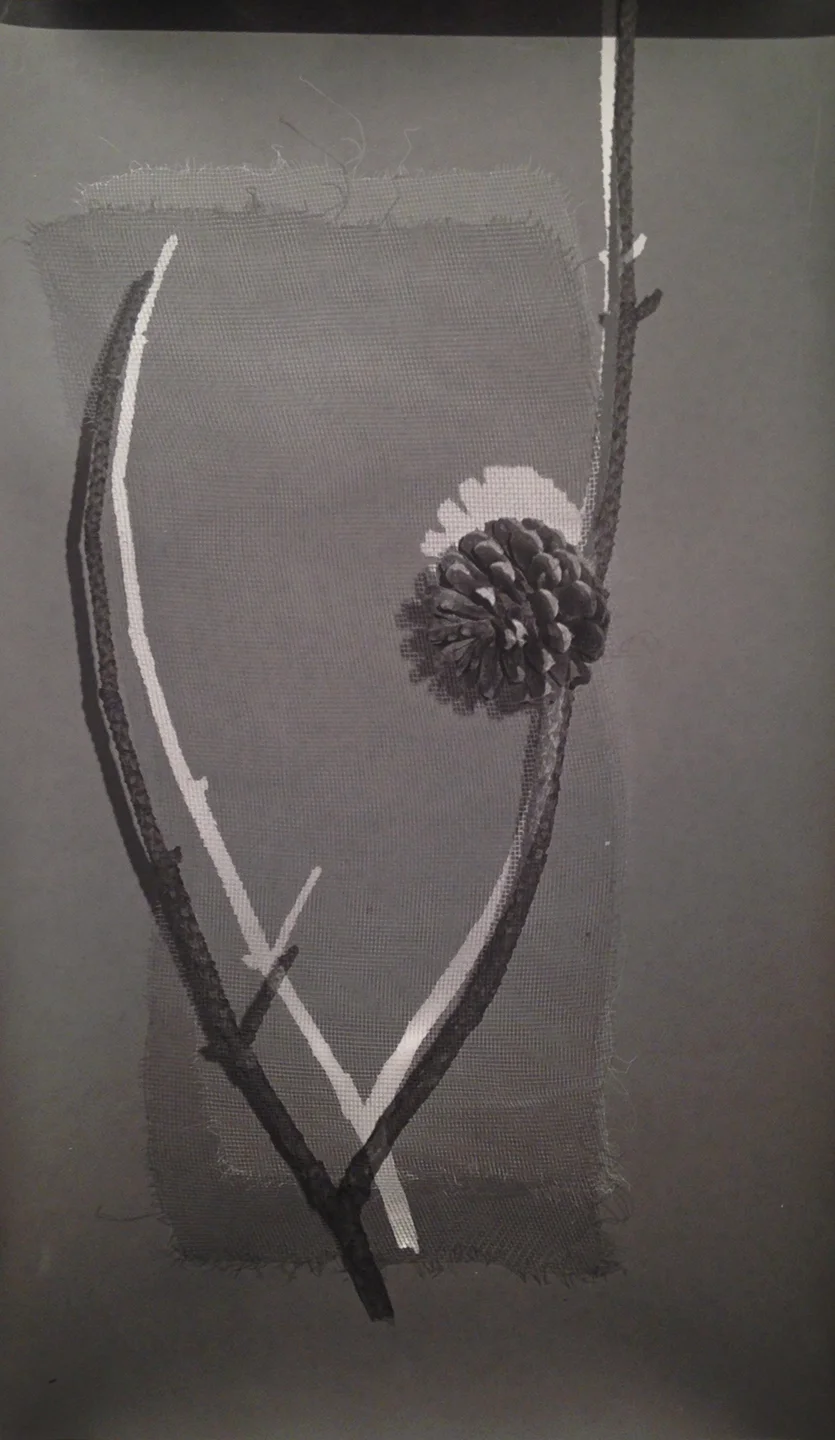 Bryan Graf. Forest Hallucination, 2015. Image courtesy Yancey Richardson Gallery