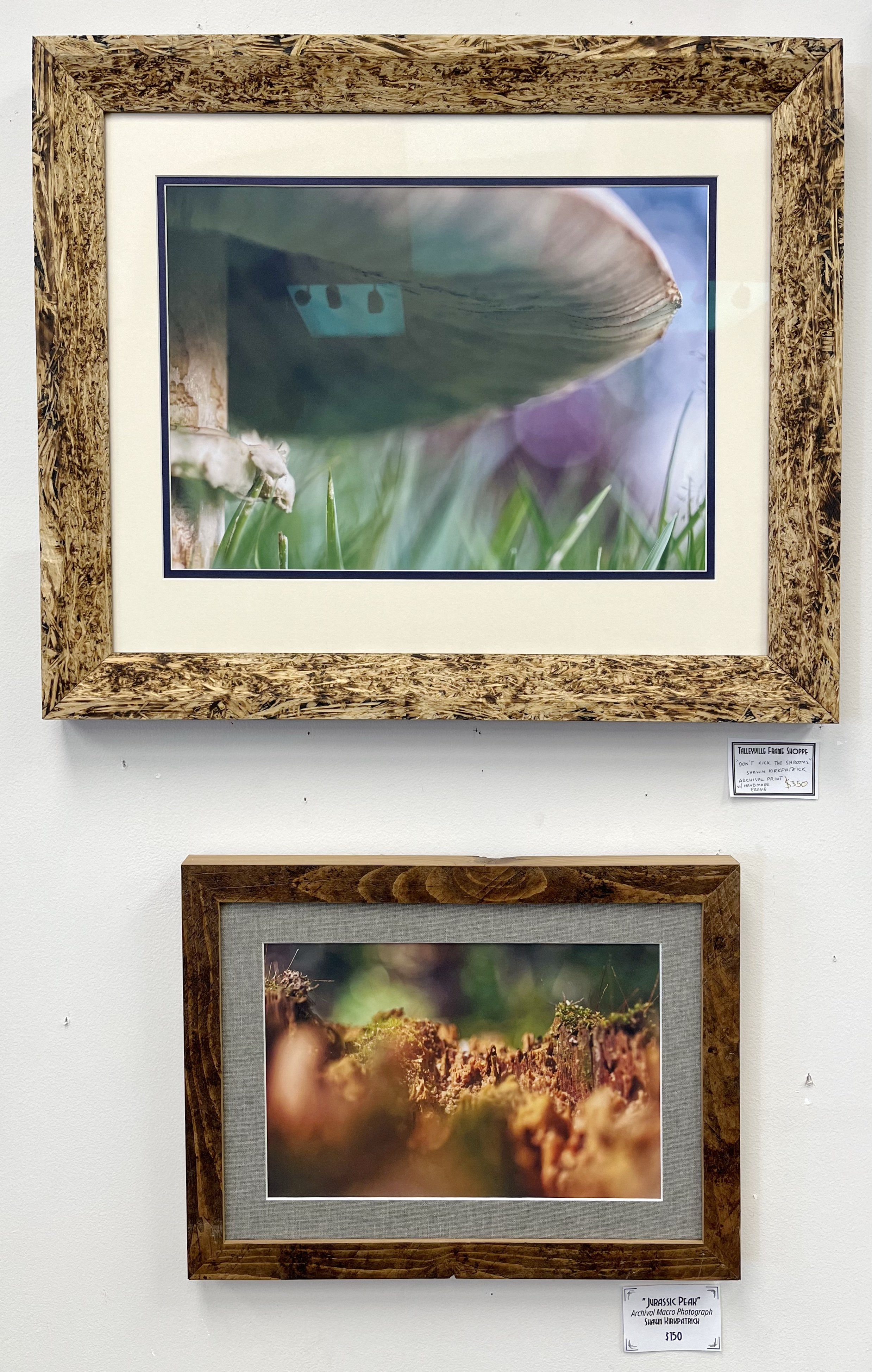 Macro Photographs in Handmade Frames