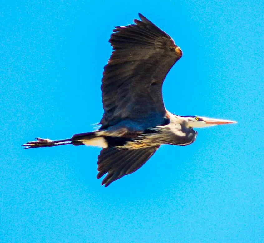 LrMobile1504-2015-011579076568170373-1.jpg