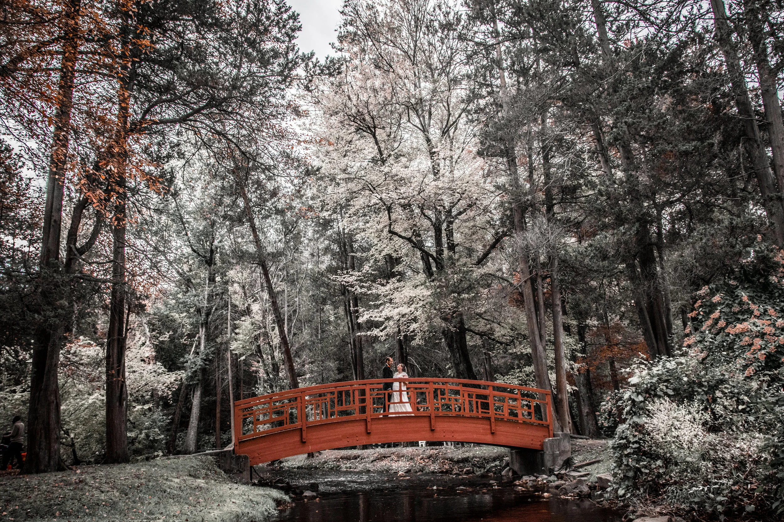 MartinWedding-120.jpg