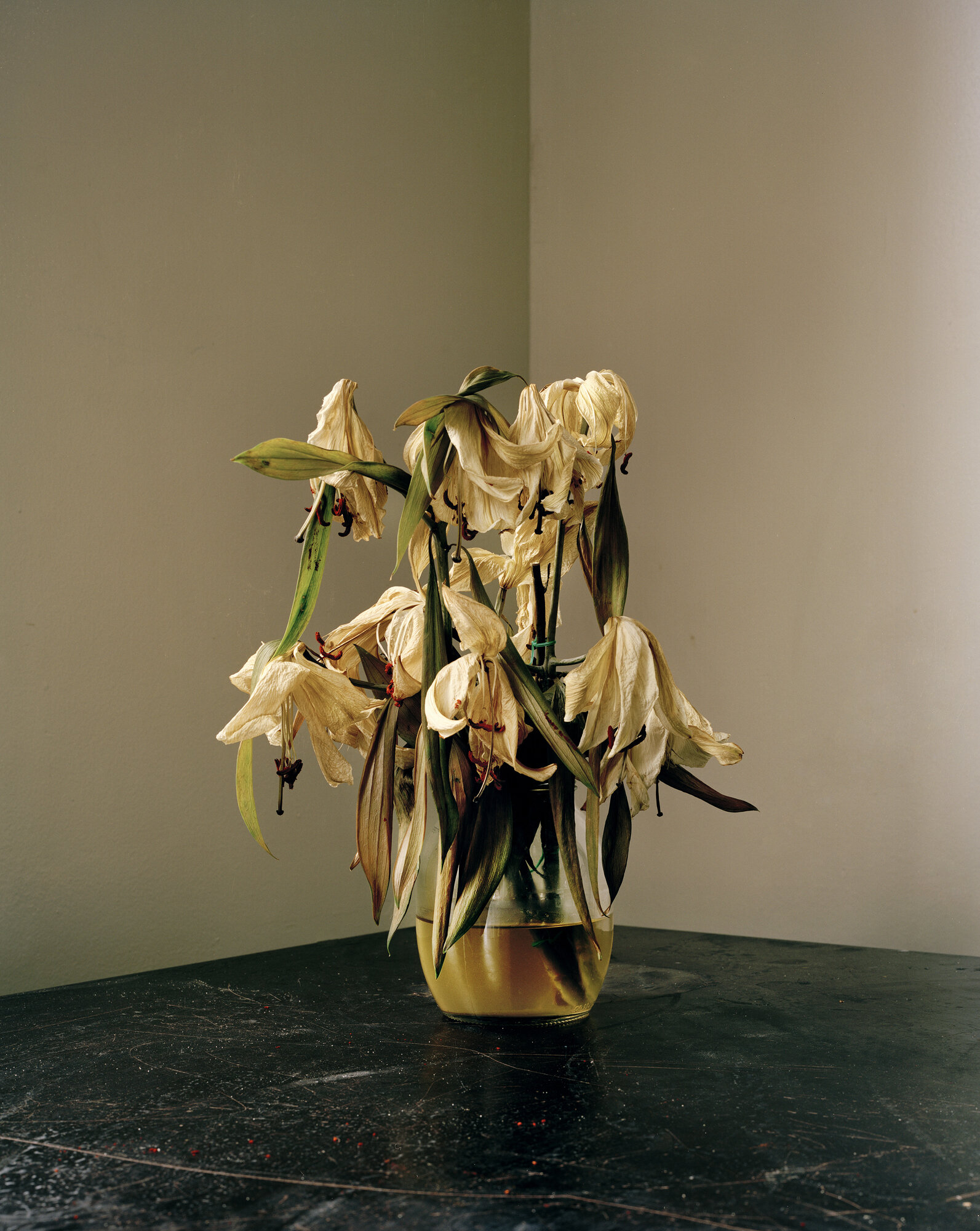 Dana_Stirling_untitled.jpg