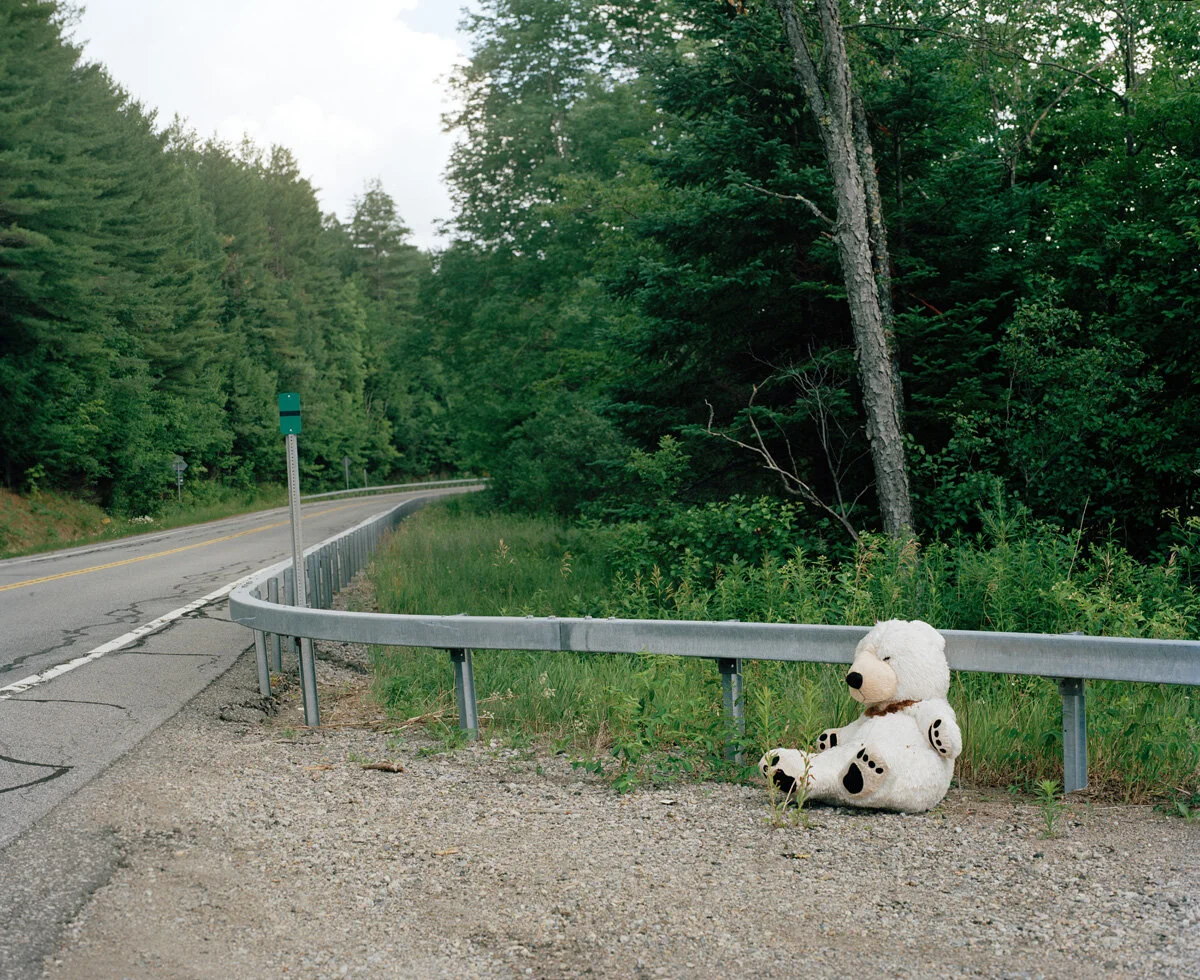 bear on road 2020 001.jpg