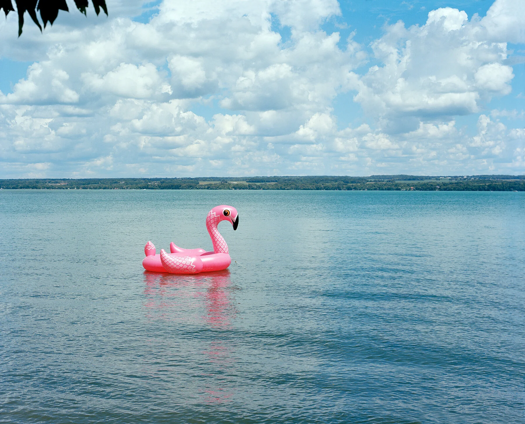 flamingo-float-romulus-ny-2020-002-3.jpg