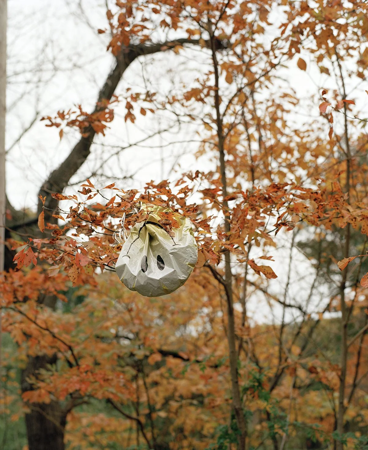 Dana Stirling-Upside Down Balloon.jpg