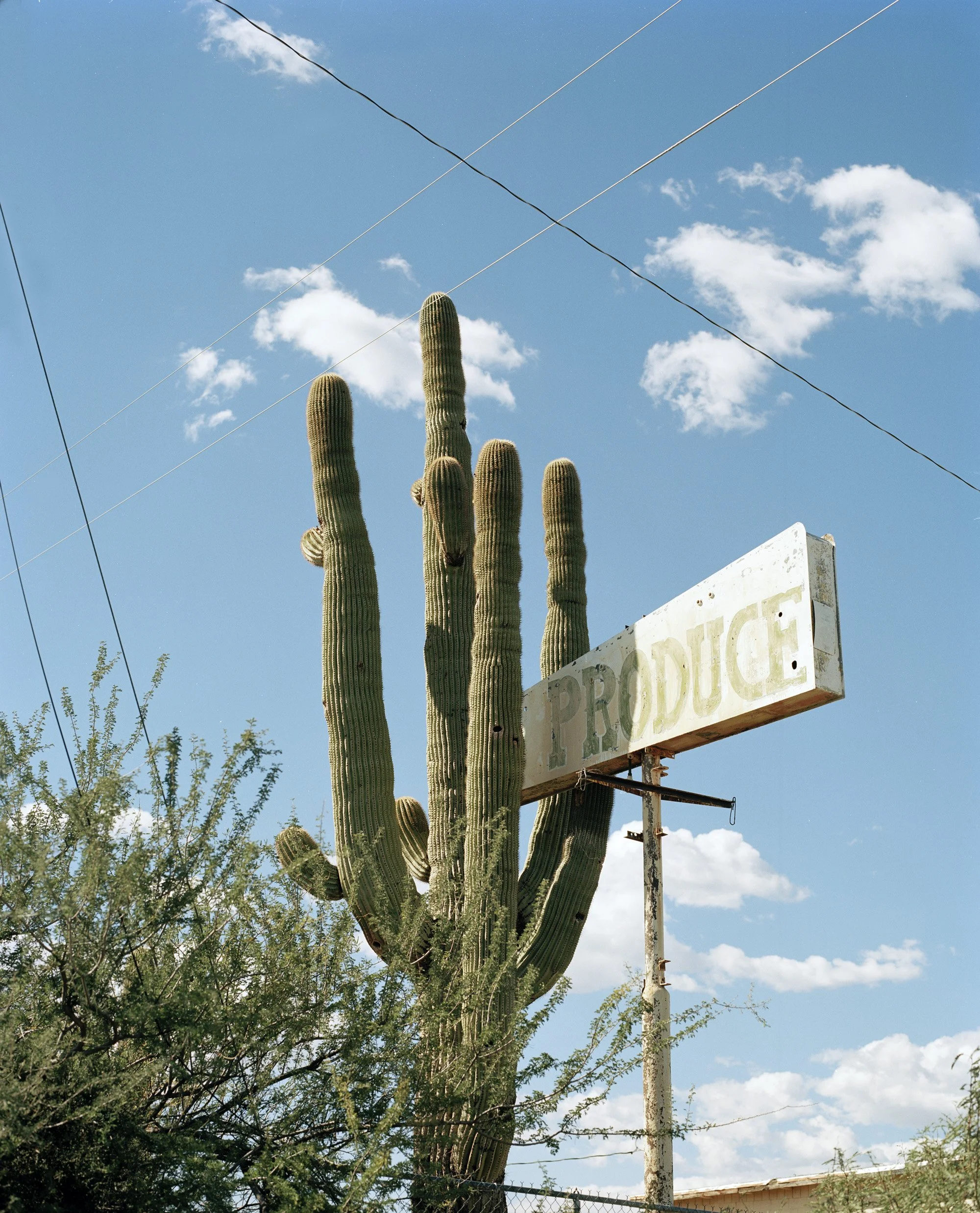 20221012, Produce, Wikieup, AZ 001.jpg
