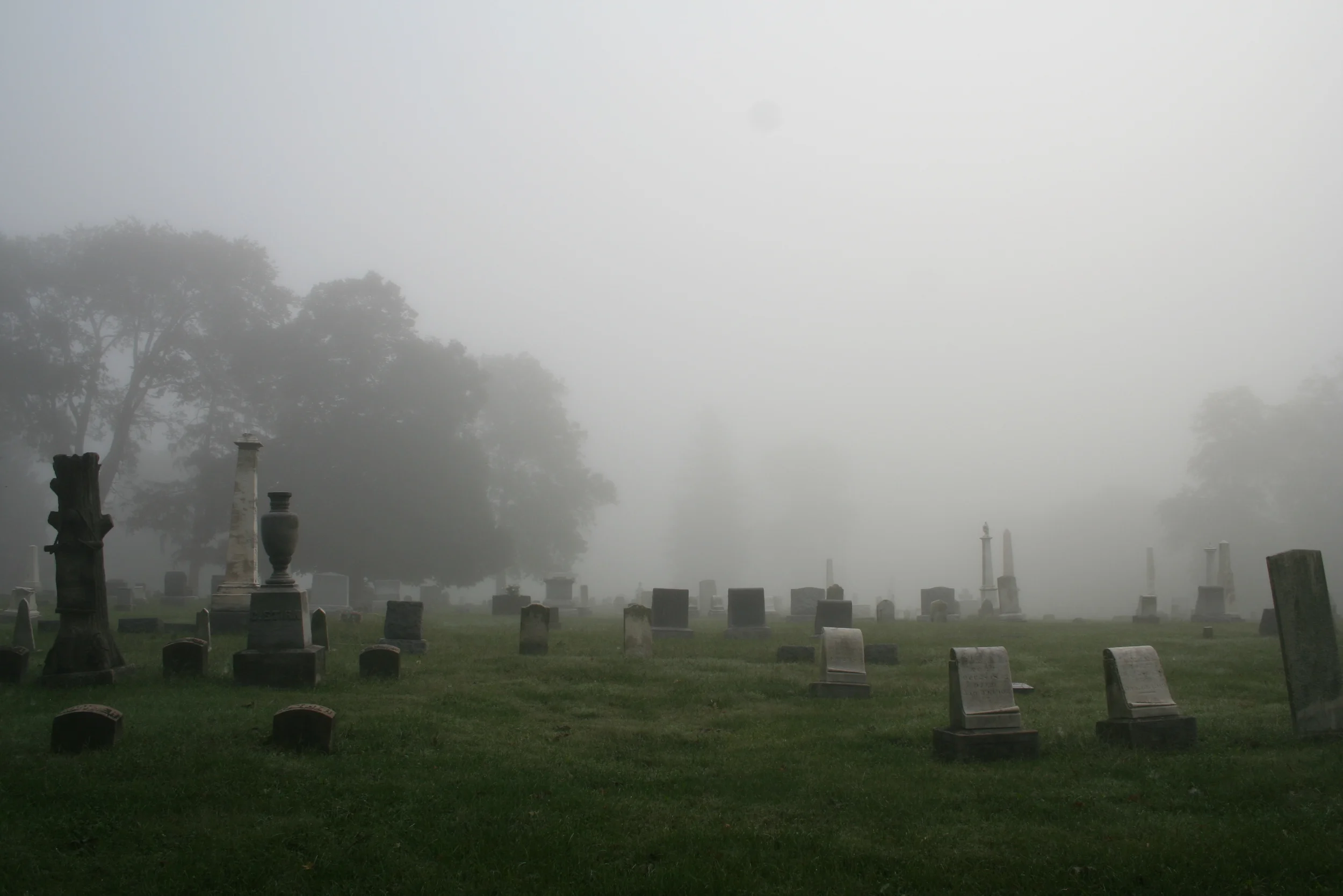 Stock_Photo___Foggy_Cemetery_1_by_dead_stock.jpg