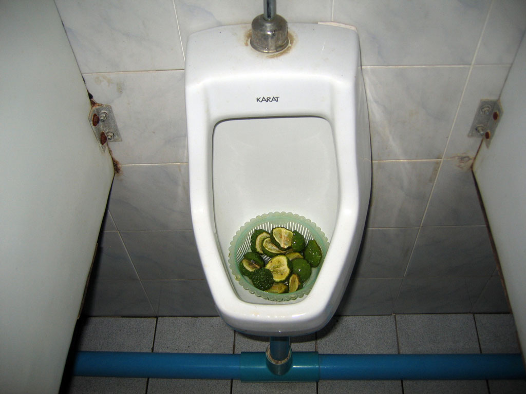 fresh-toilet.jpg