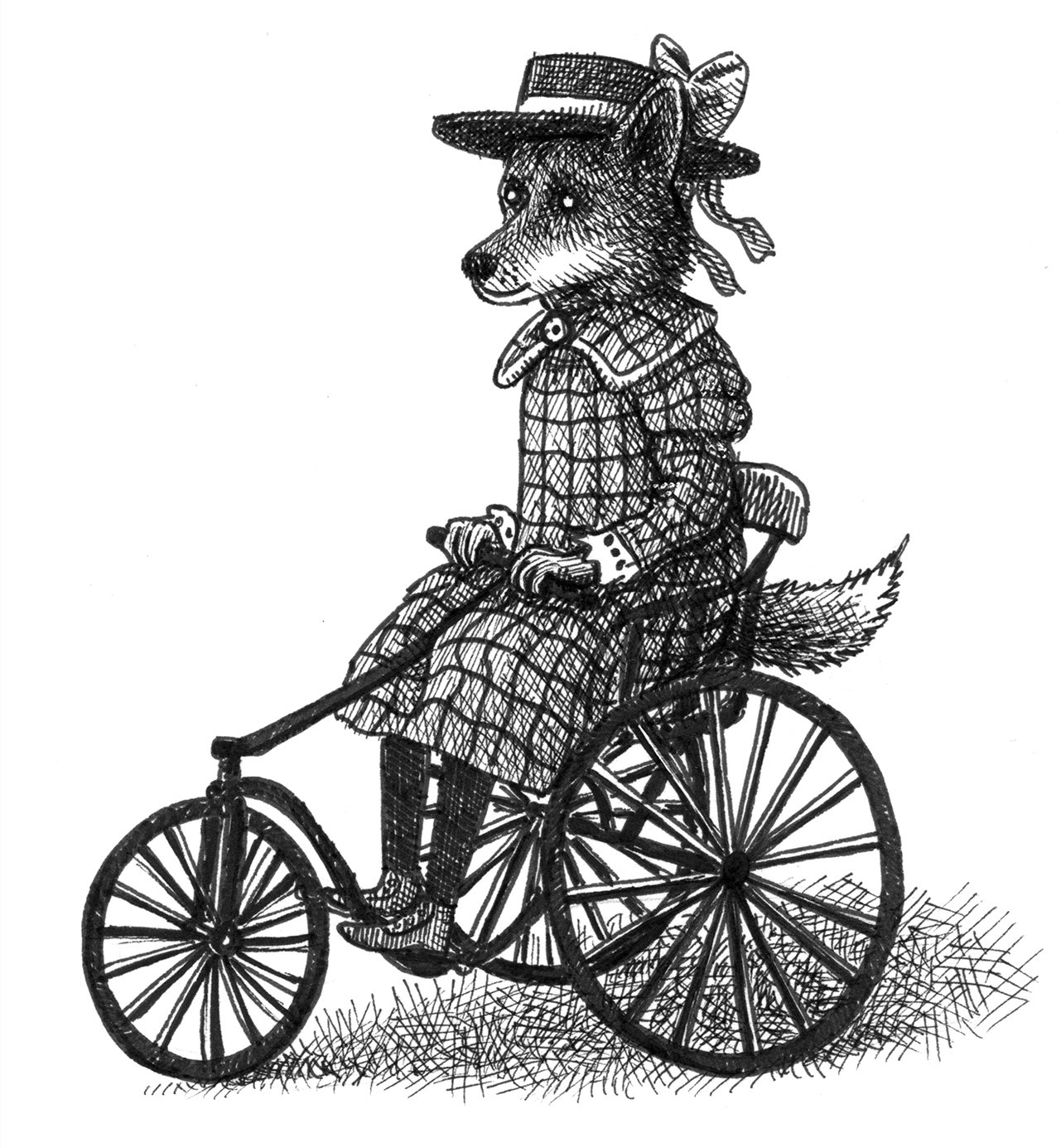 FoxTricycle_300.jpg