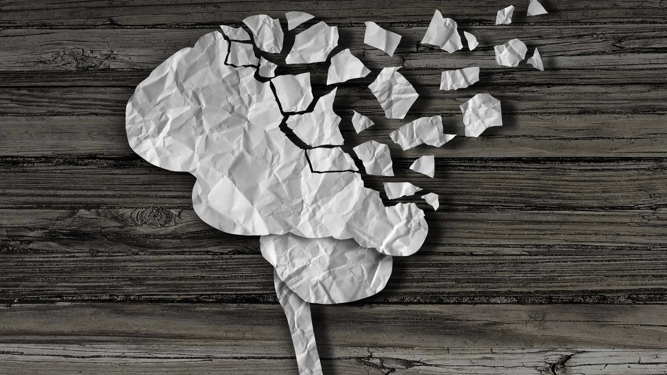 Your Concussion Questions Answered