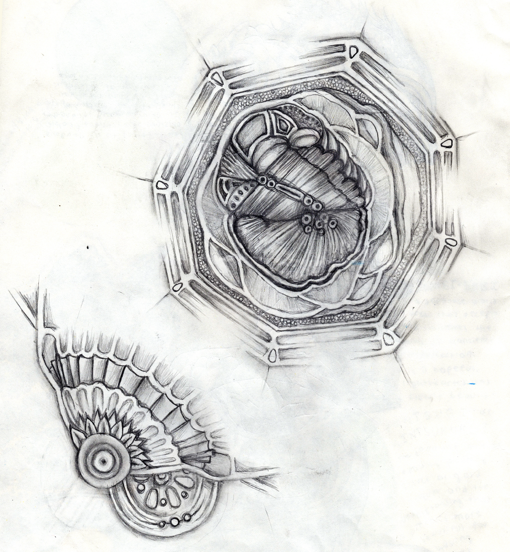 Screen Shot 2017-01-08 at 10.09.05 PM.png