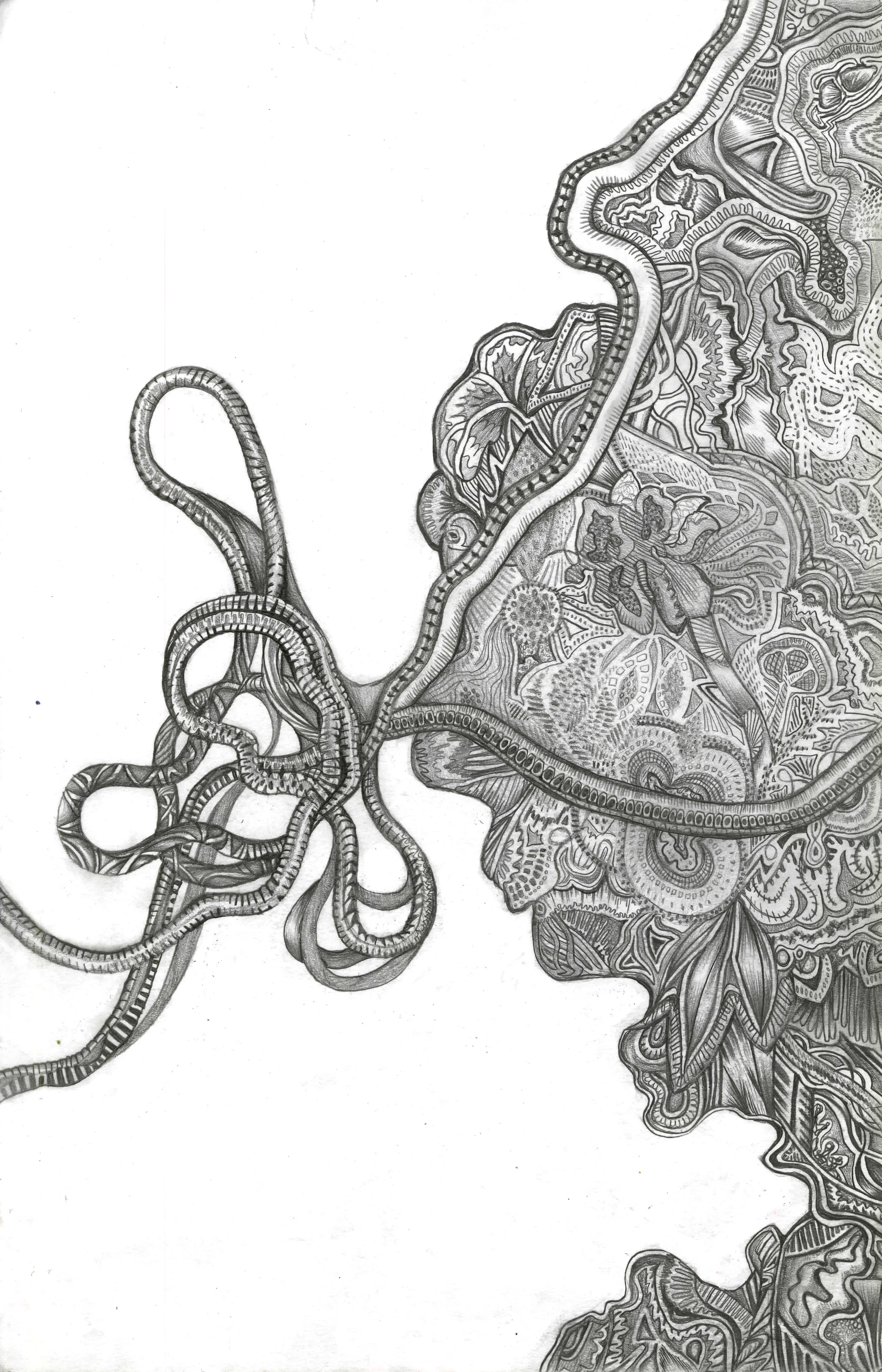 Tentacles Graphite 2.jpg