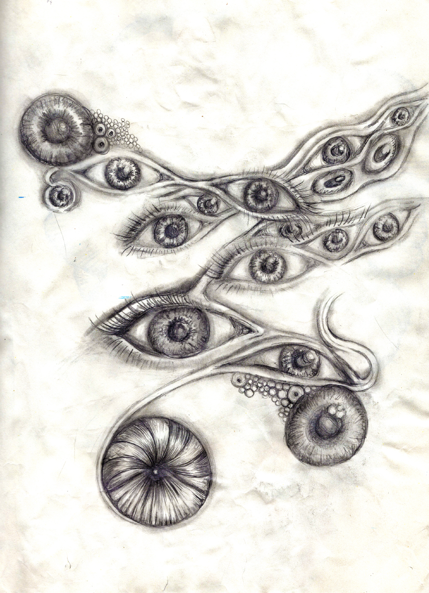 Screen Shot 2017-01-08 at 10.19.31 PM.png