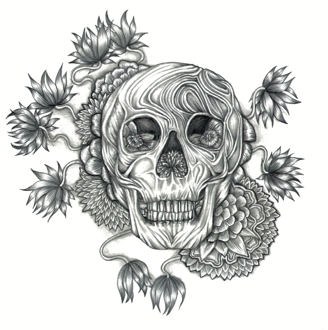 Screen Shot 2017-01-11 at 8.12.01 PM.png