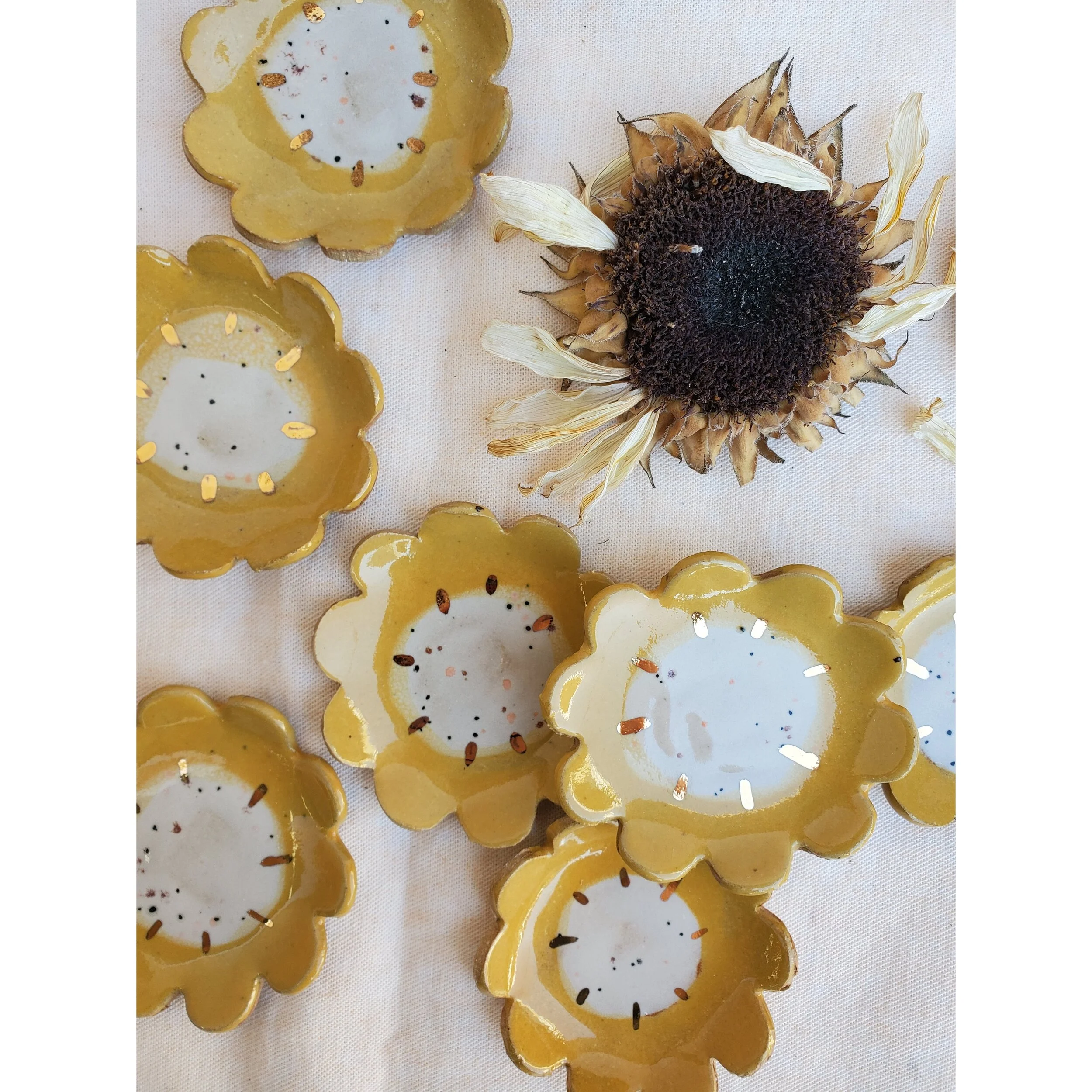 Daisy-dish-1.jpeg