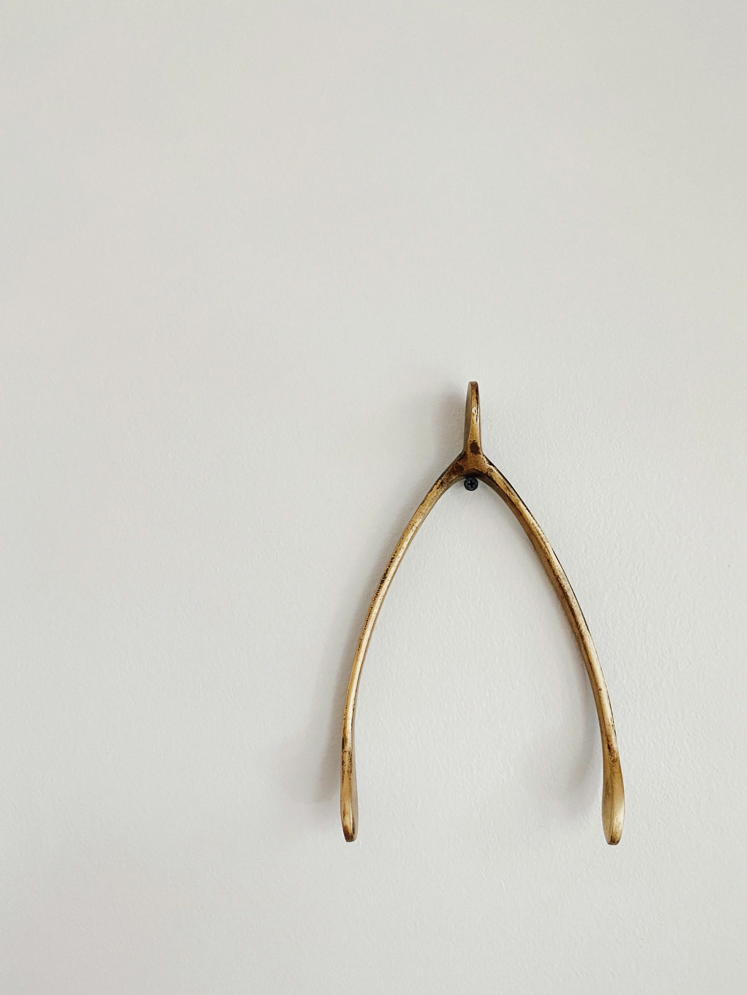 wishbone