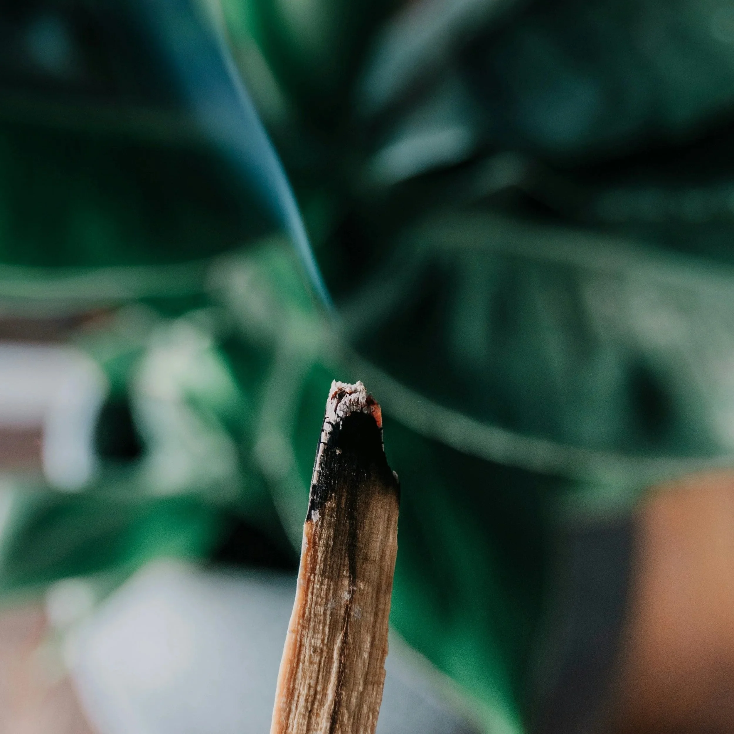 Palo Santo Burn Wand