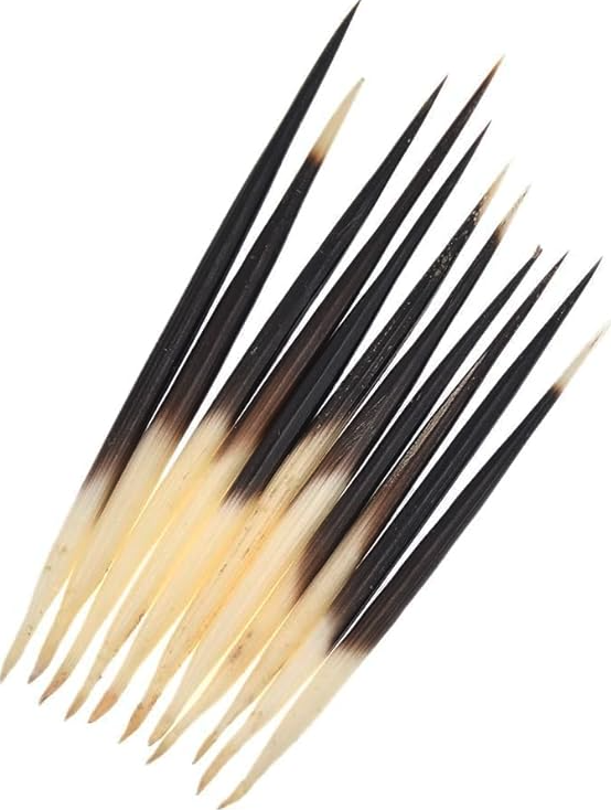Porcupine Quills