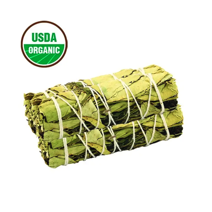 Peppermint & Eucalyptus Burn Bundle