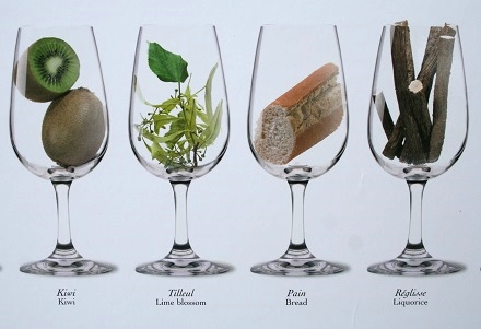 Aromes du vin 5 .jpg