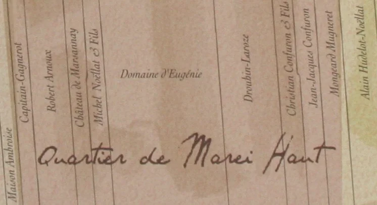 Clos Vougeot map zoom Producers.jpg