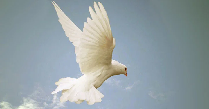 pic The Comforter In The Bible who is the comforter in john 14 as