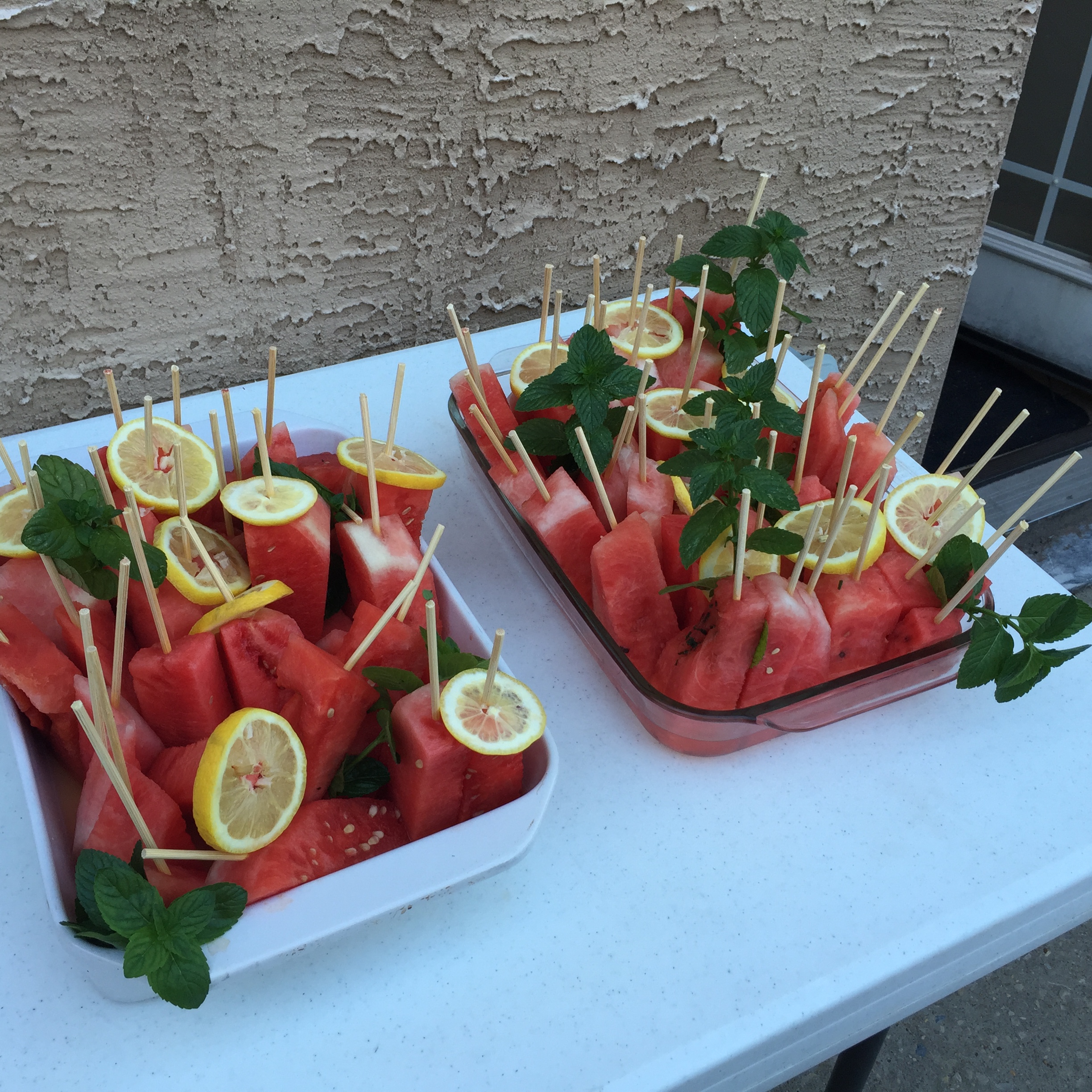 boozy watermelon trays