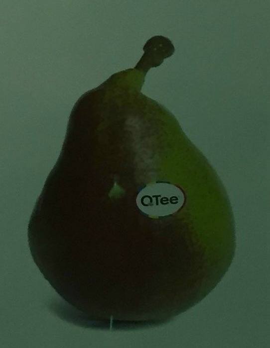 Celina på standen til Fruites font