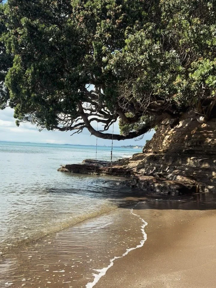 HAPPY NEW YEAR! 🎉

The prospect of curating a group of images to sum up 2025 was totally overwhelming so here&rsquo;s a bunch of my favourites from the last few weeks. 

2025 was a huge year for me, some highlights included Queenie joining our famil