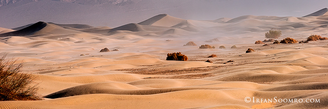 Sandstorm - Panorama
