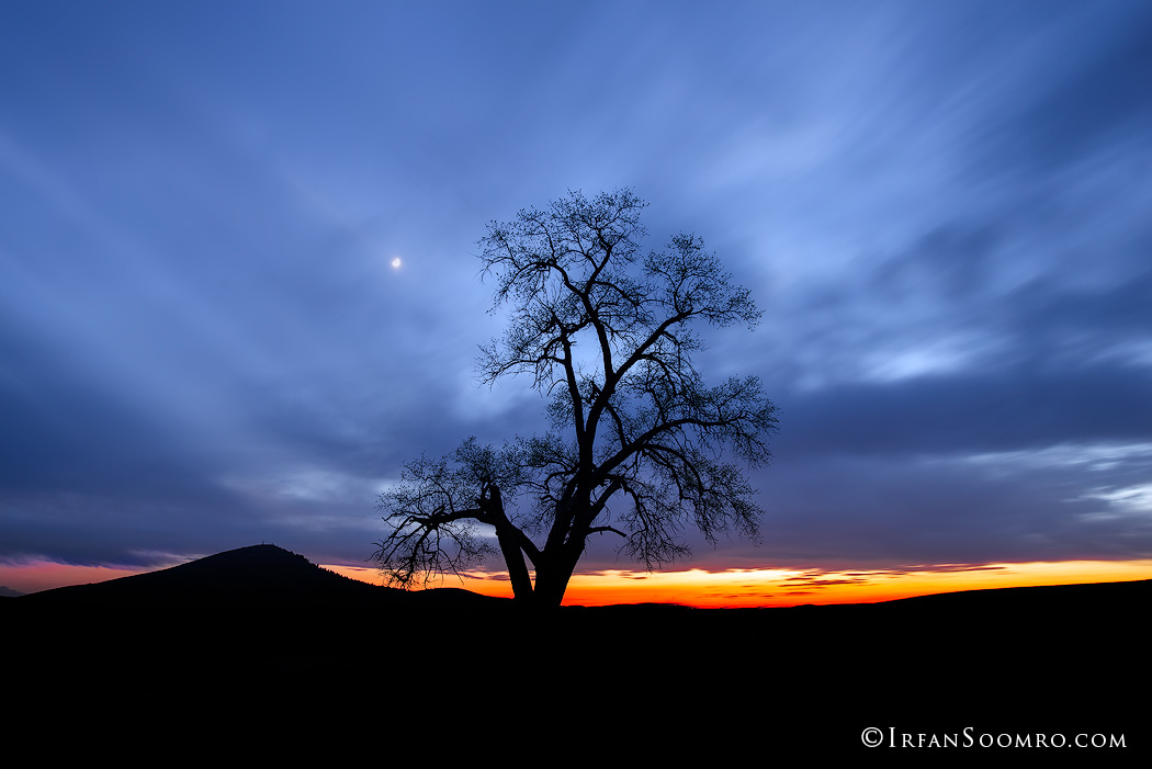 1405-untitled-1320-1405-untitled-1227-1405-Palouse-1703-_D8X2130-copy.jpg