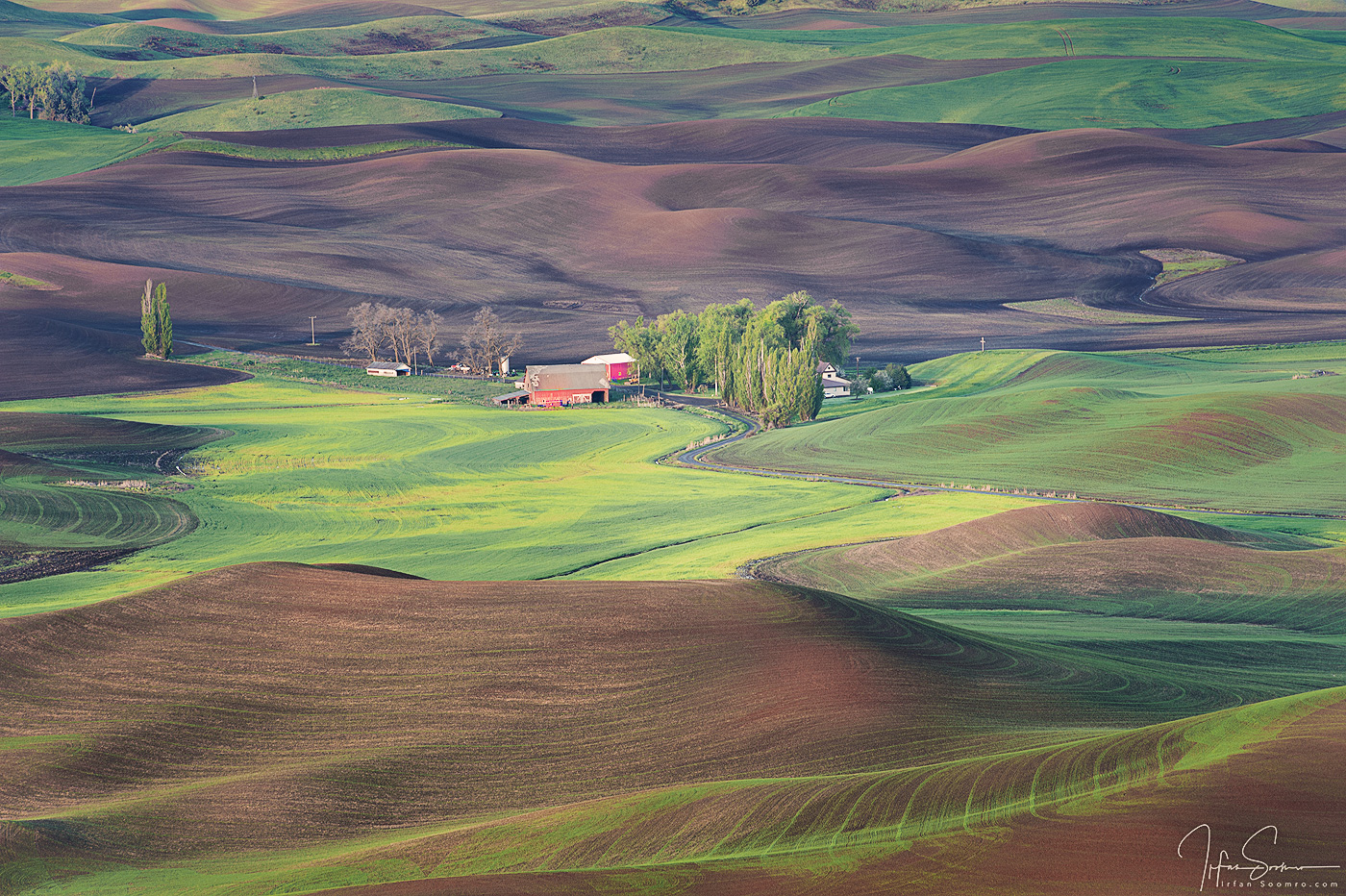 1105-Palouse-045-_DSC5163-1-copy-web.jpg