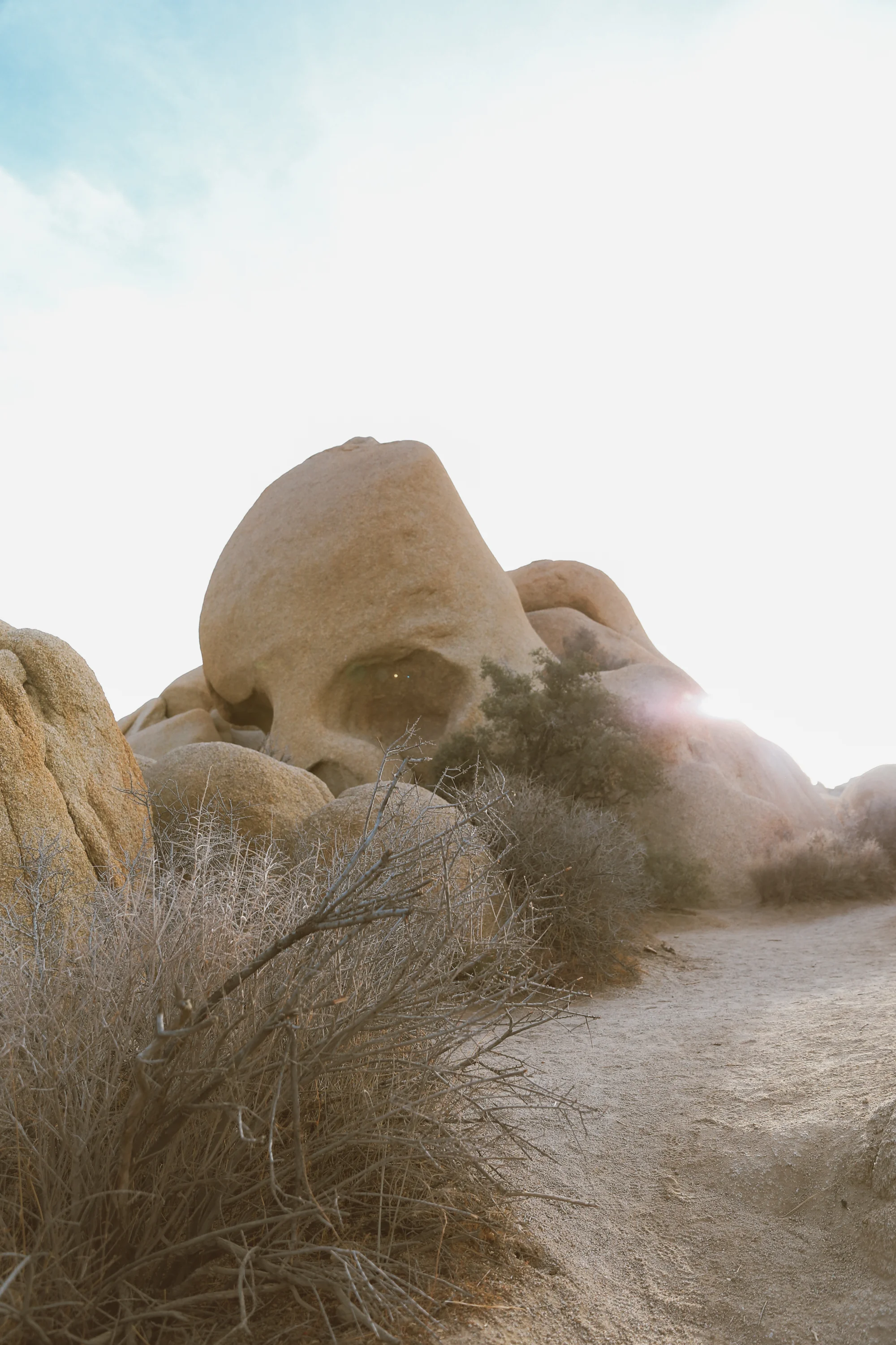 Keeewii_Travel_JoshuaTree-38.jpg
