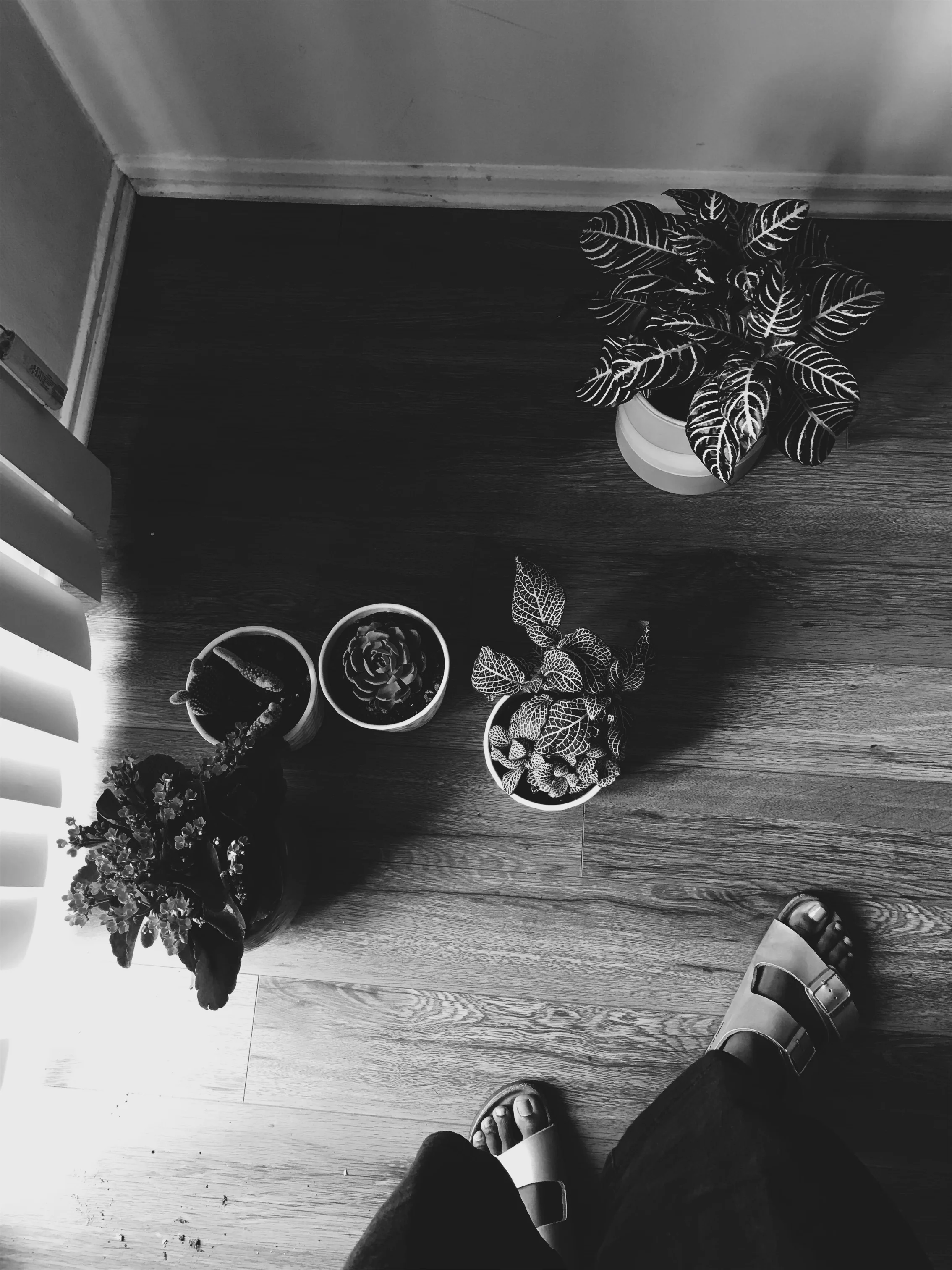 B+W-Keeewii-25.jpeg