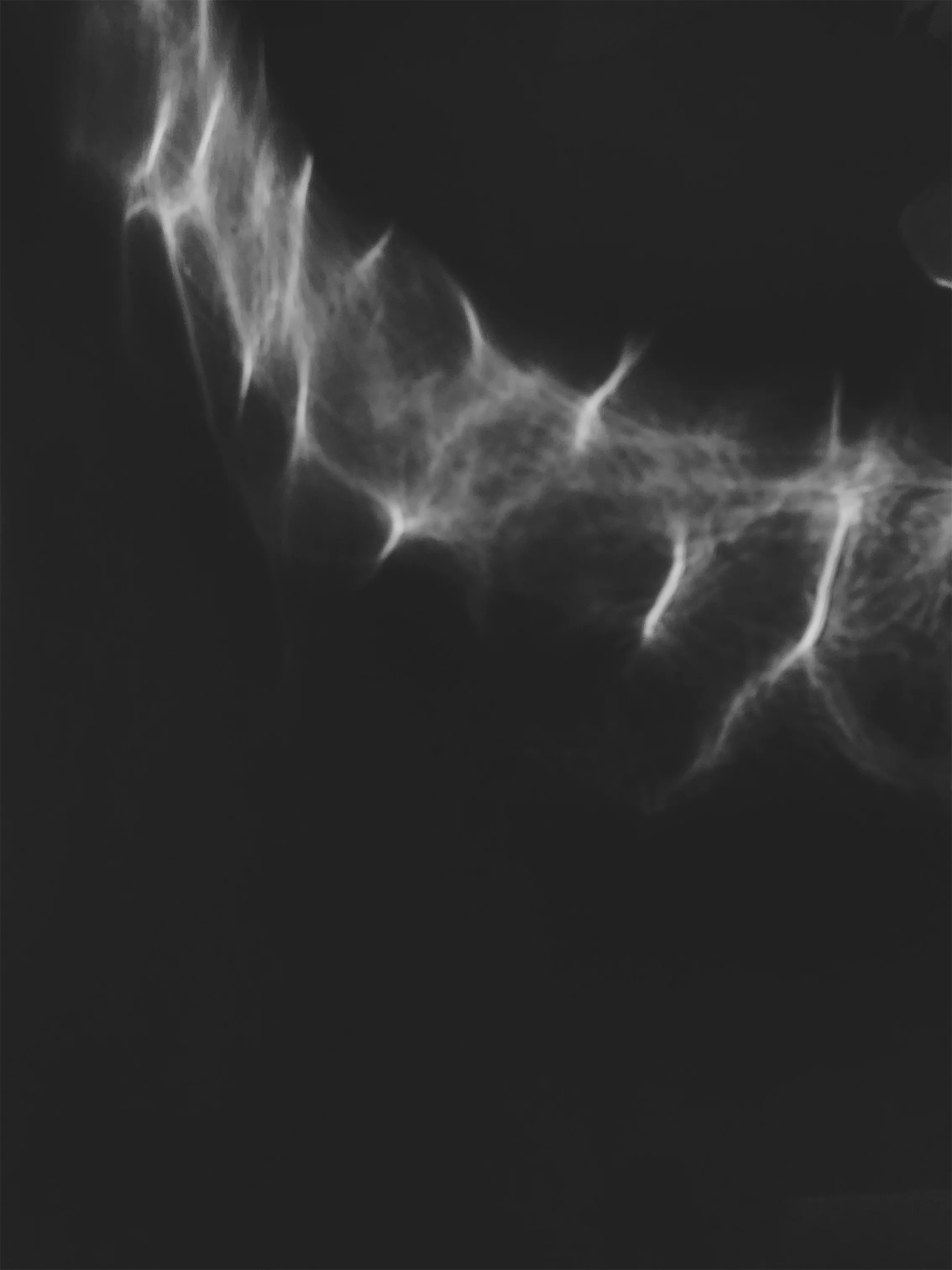 B+W-Keeewii-29.jpeg