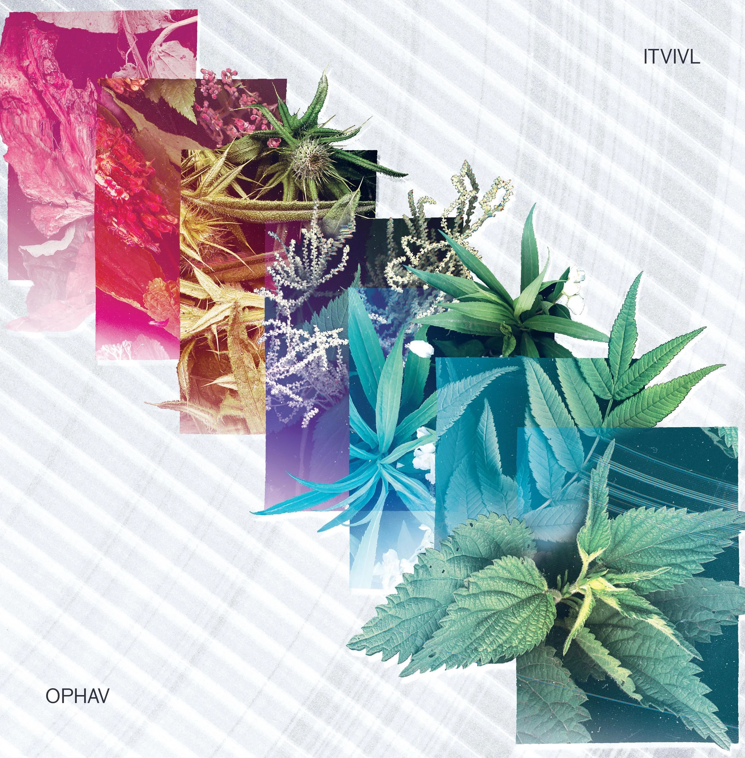 Itivl: Ophav