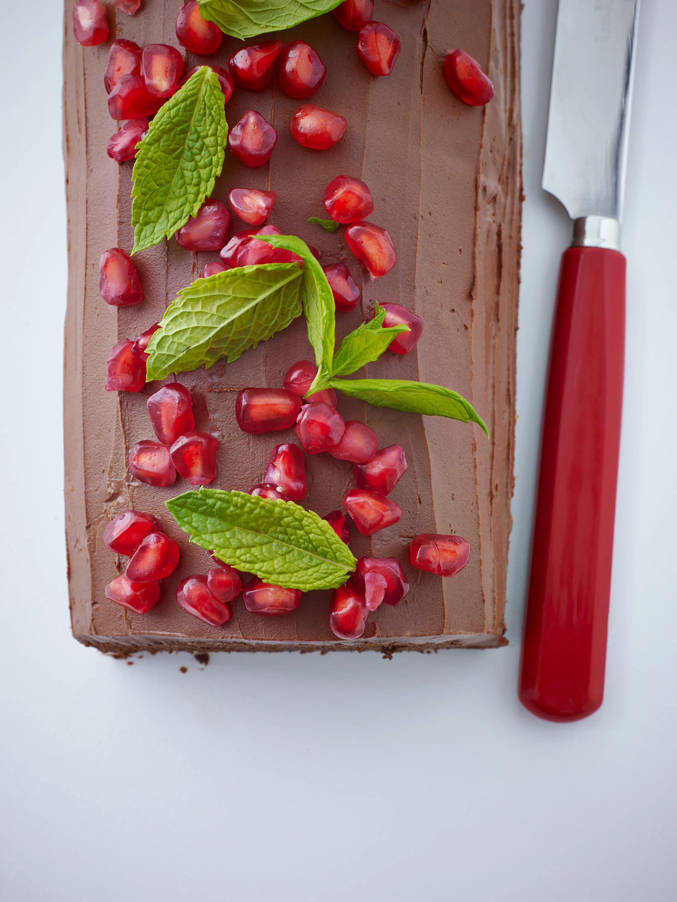 Chocolate_Log_00091.jpg