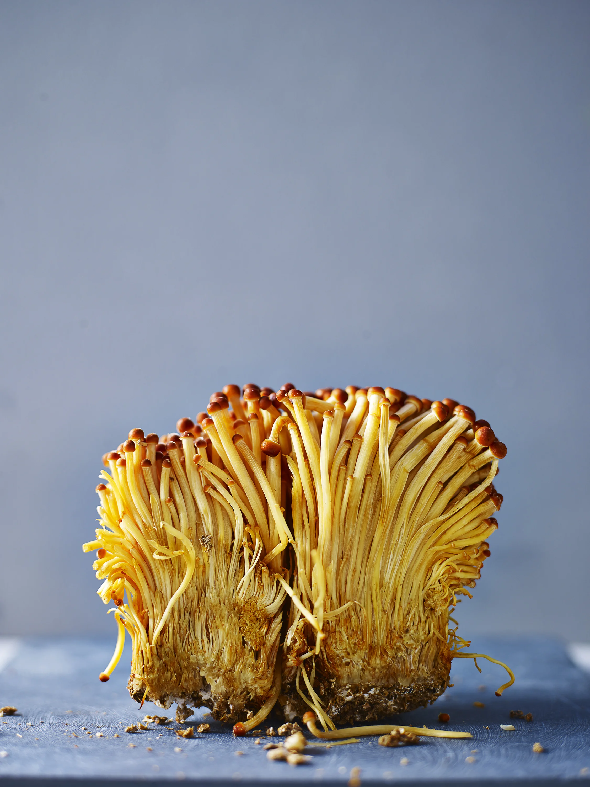 enoki mushrooms 1.jpg