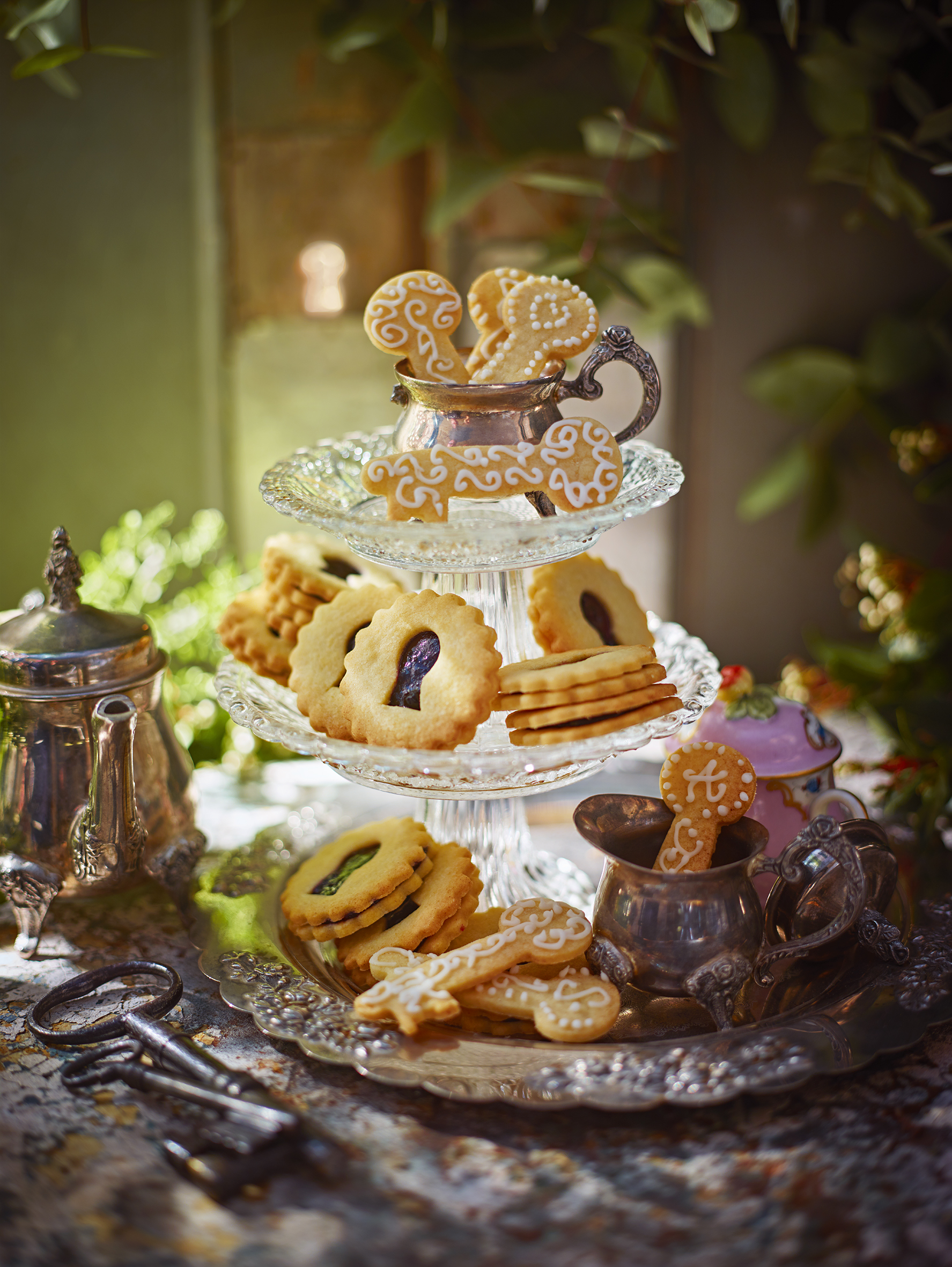 THROUGH_THE_KEYHOLE_COOKIES_DAPPLE_171.jpg
