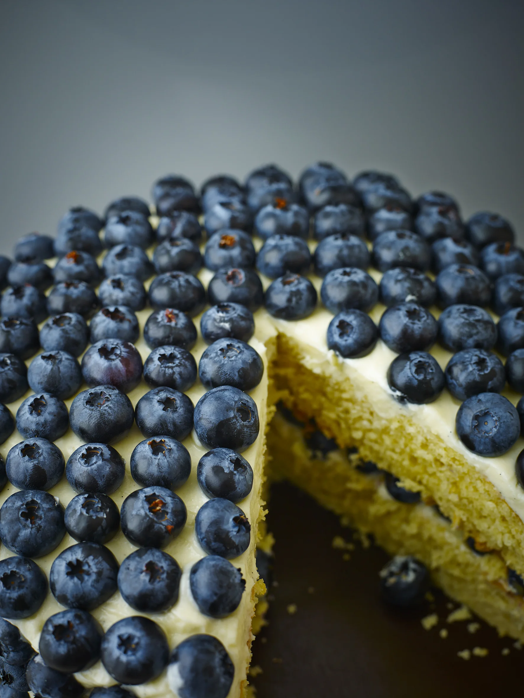 Blueberry_Cake_ 6.jpg